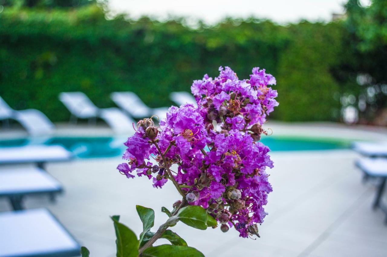 Villa Marylu' Ischia Eksteriør bilde